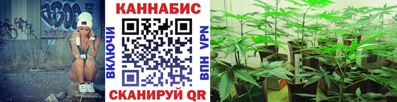 купить  цена  Трёхгорный  Канабис MAZAR 